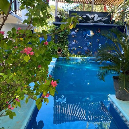 Casa Chukum Bacalar Exterior foto Butterfly House