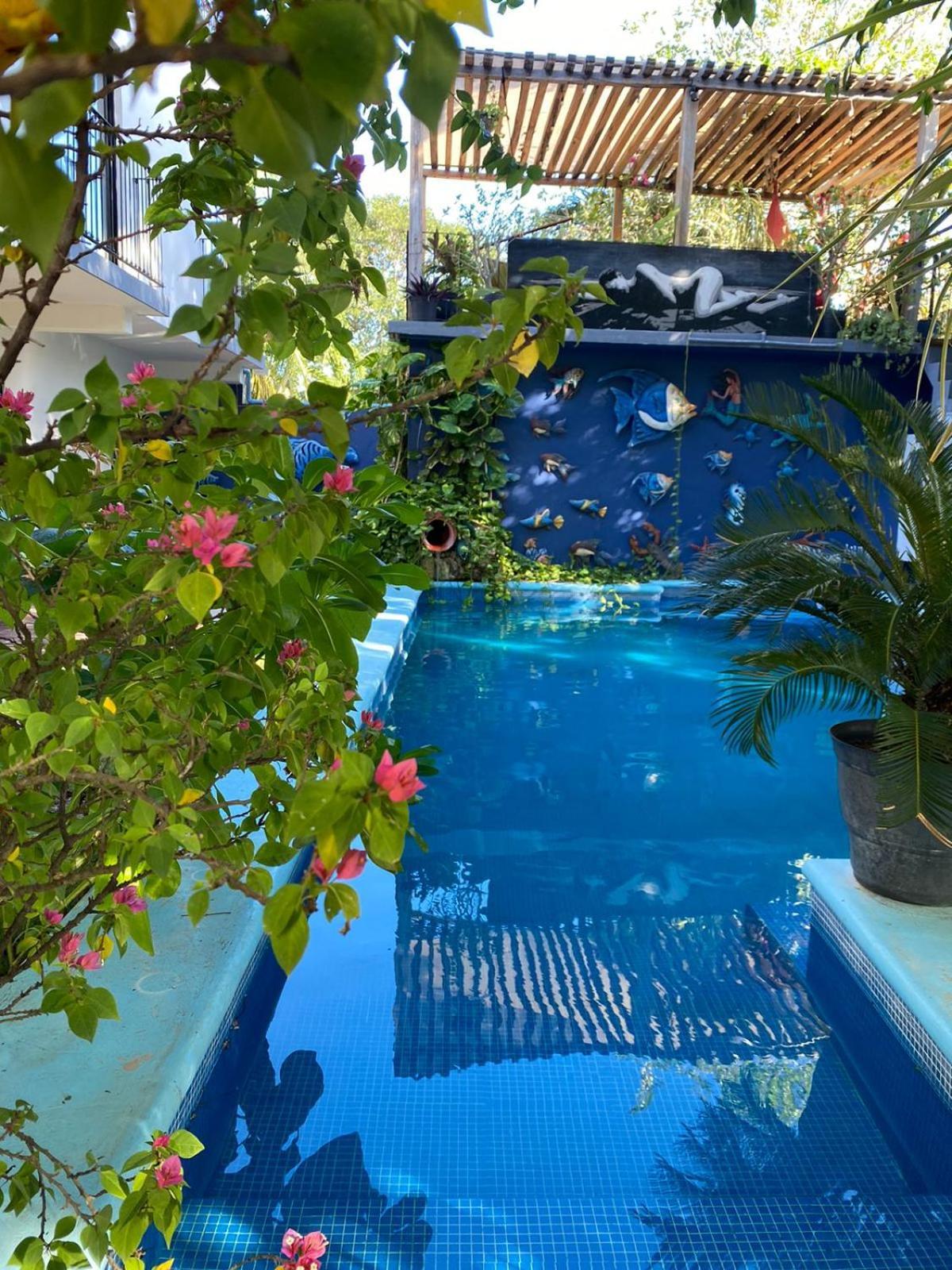 Casa Chukum Bacalar Exterior foto Butterfly House